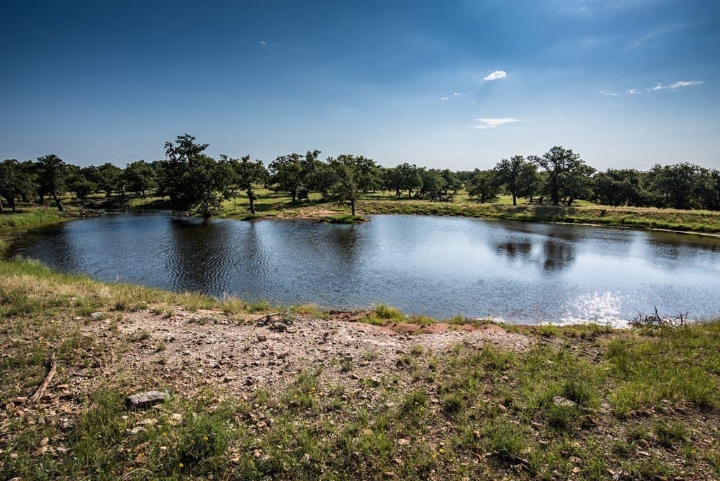 125 acres in Gillespie County gallery image 2