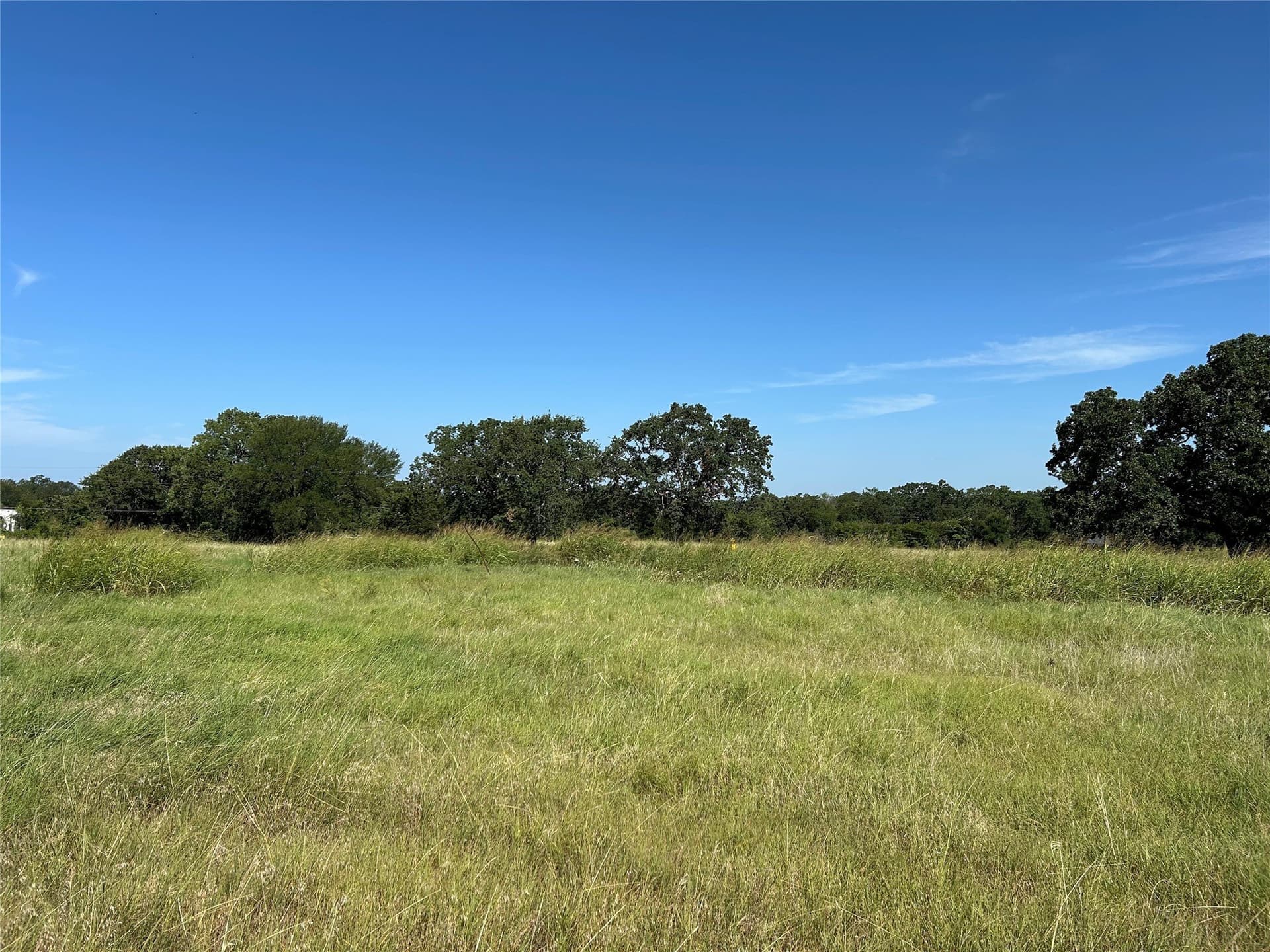 4.03 acres in Wise County gallery image 2