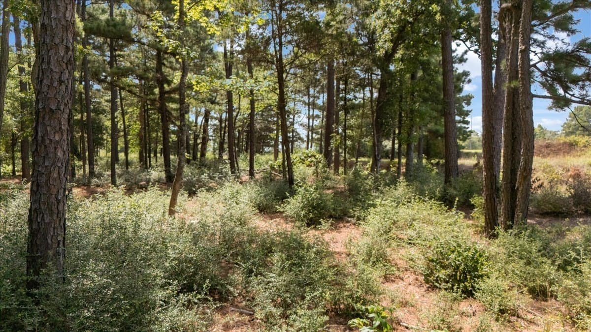 5.5 acres in Upshur County - photo 4