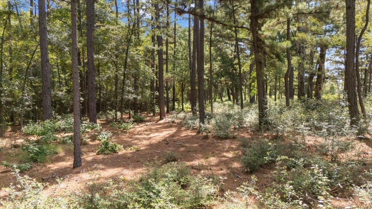 5.5 acres in Upshur County - photo 3