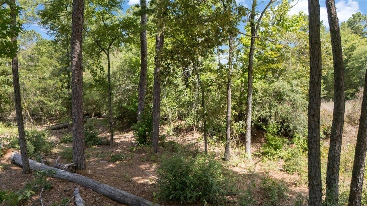 5.5 acres in Upshur County - photo 14
