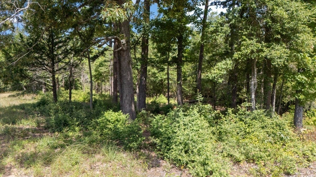 5.5 acres in Upshur County - photo 13