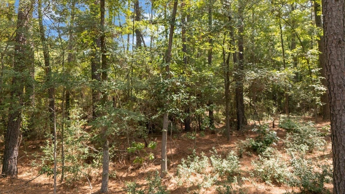 5.5 acres in Upshur County - photo 5