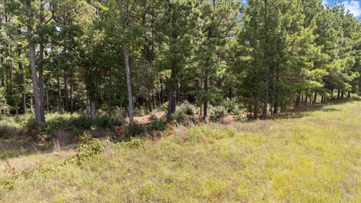 5.5 acres in Upshur County - photo 15