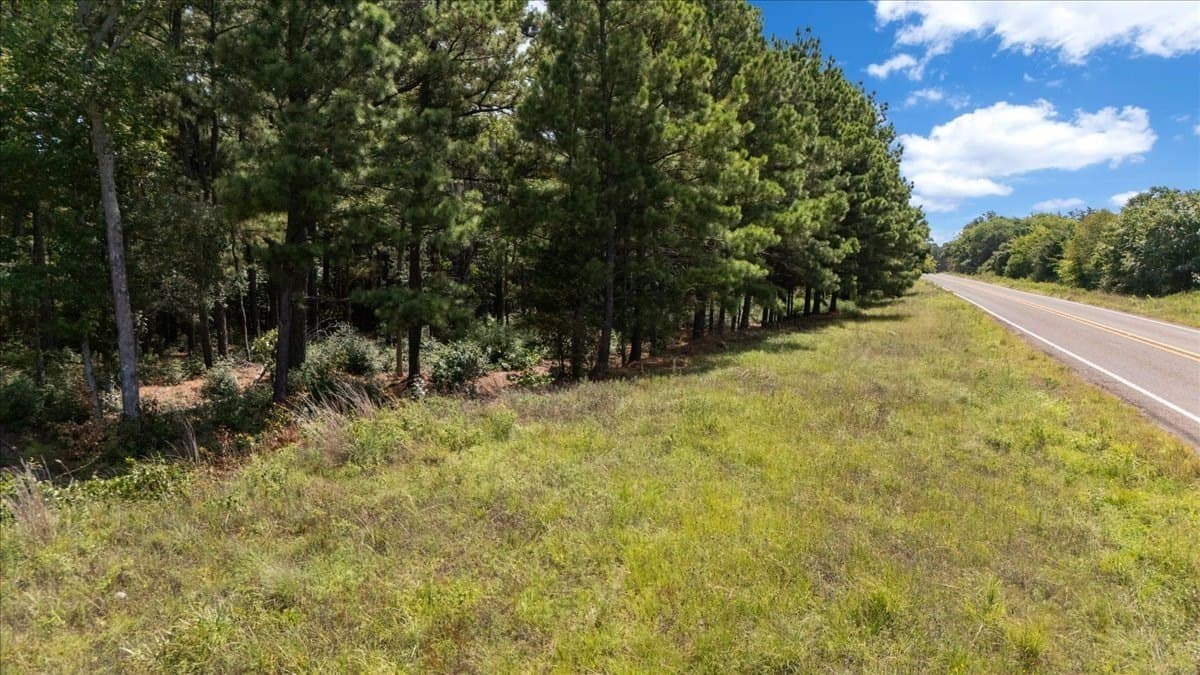 5.5 acres in Upshur County - photo 16