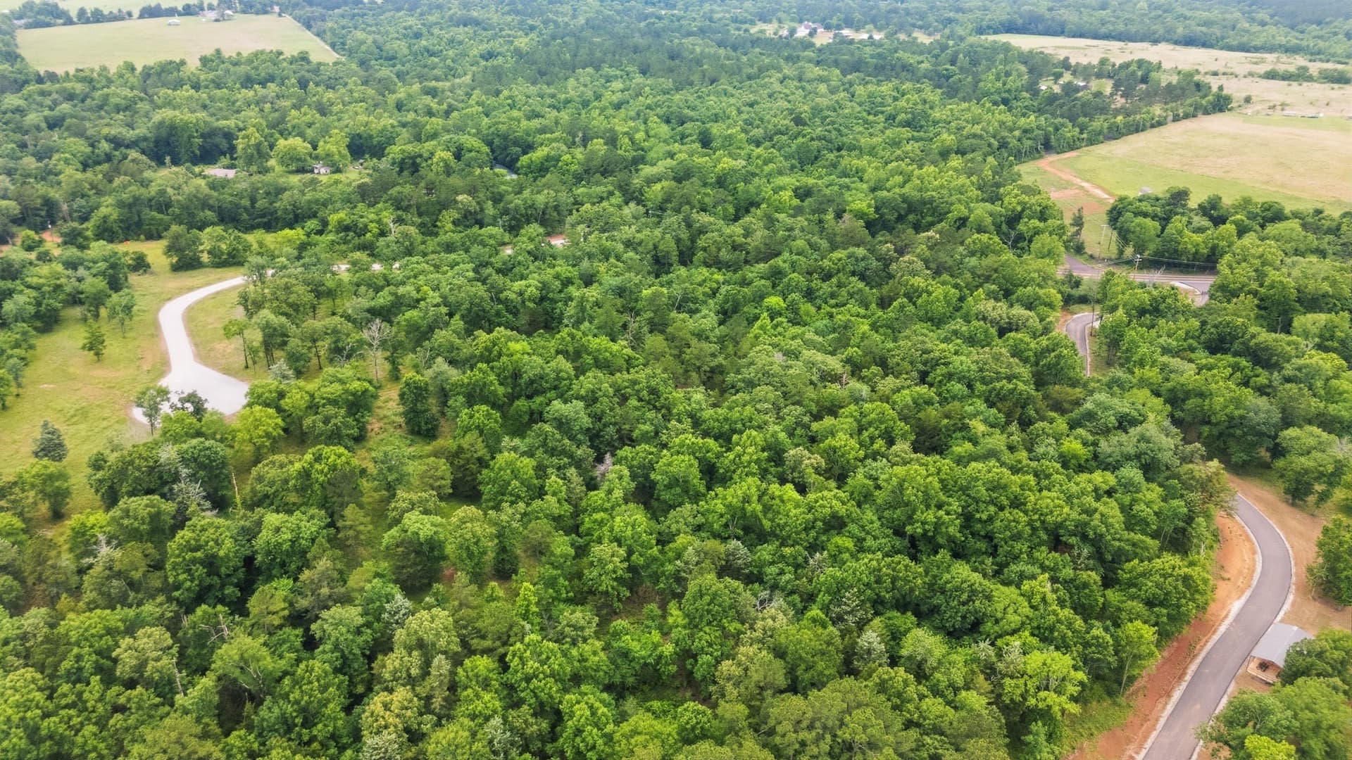 9.35 acres in Anderson County - photo 11