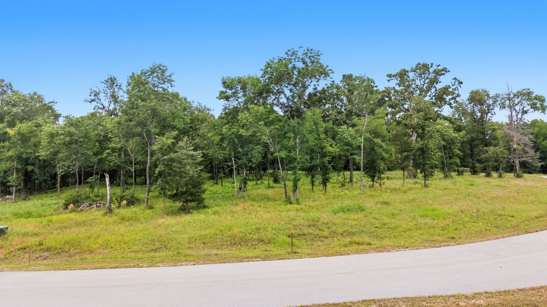 9.35 acres in Anderson County gallery image 4