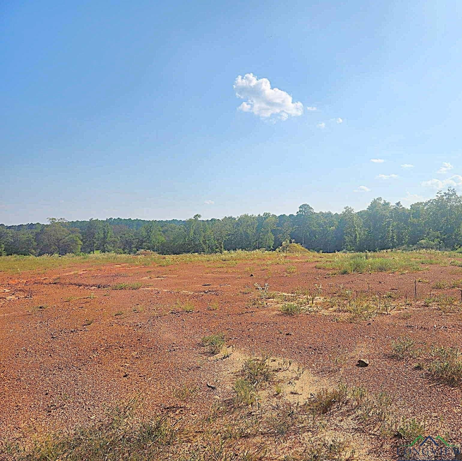 57.83 acres in Harrison County gallery image 4