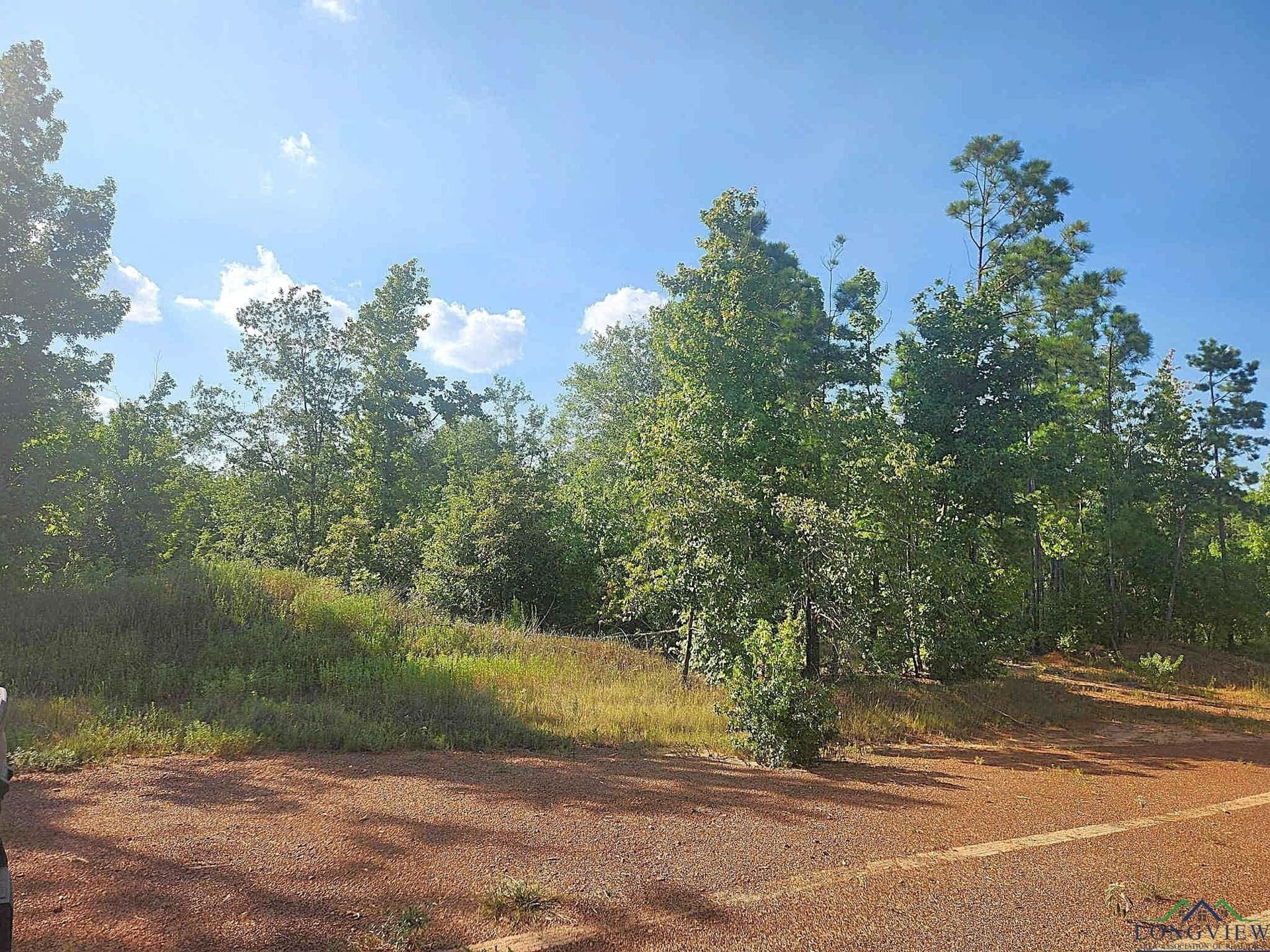 57.83 acres in Harrison County gallery image 3