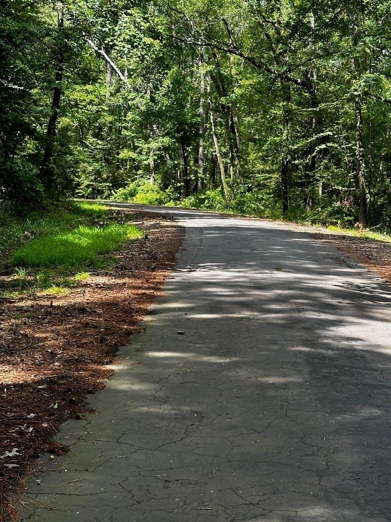 0.28 acres in Texas County gallery image 4