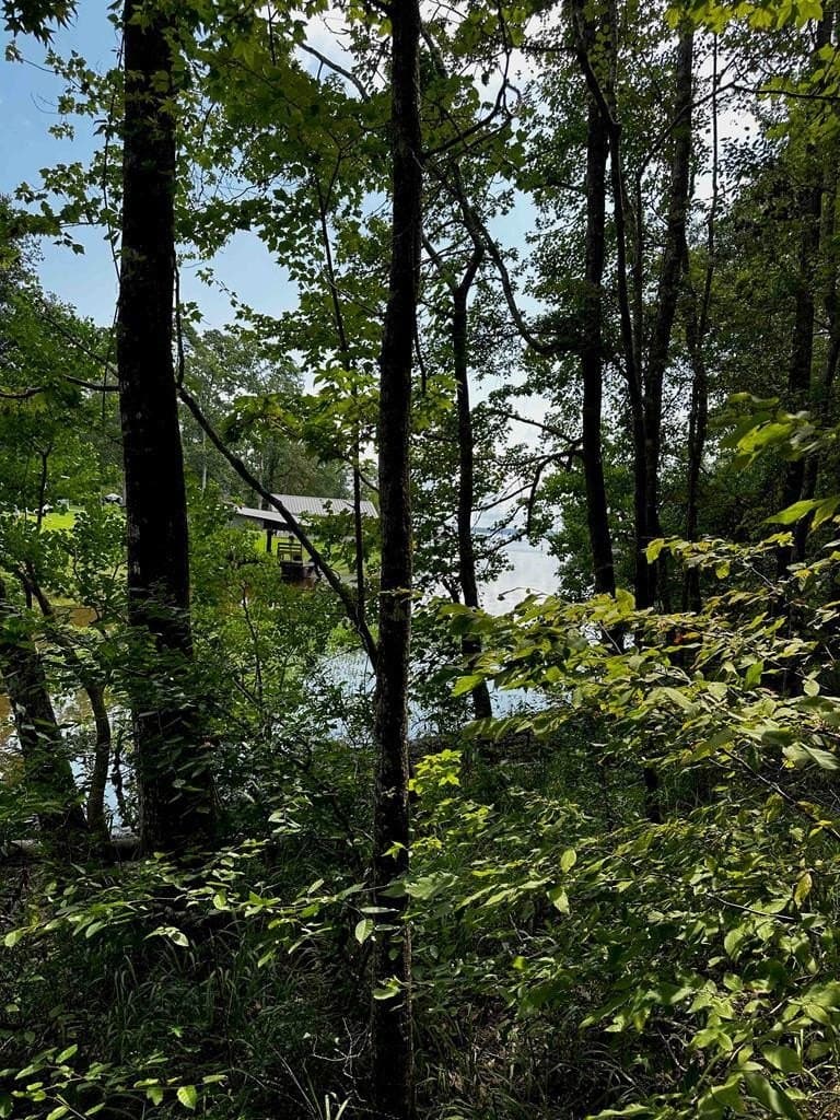 0.28 acres in Texas County gallery image 2