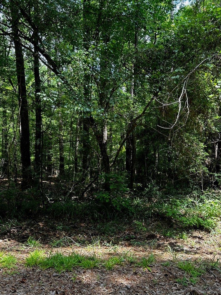 0.28 acres in Texas County featured view