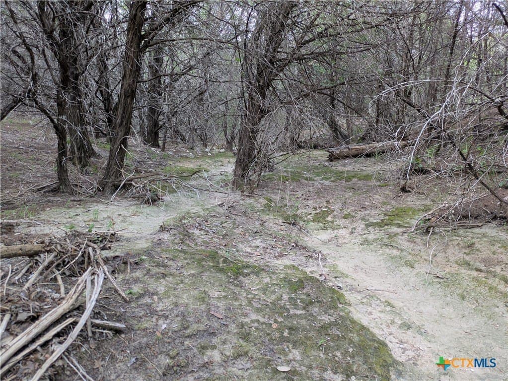 12.43 acres in Lampasas County - photo 9