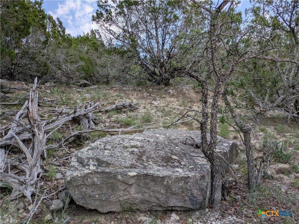 12.43 acres in Lampasas County - photo 8