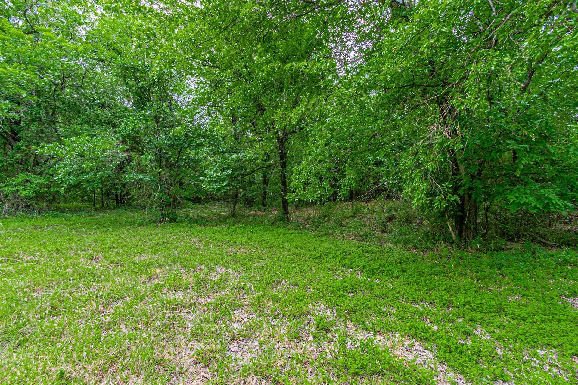 20 acres in Hood County - photo 34
