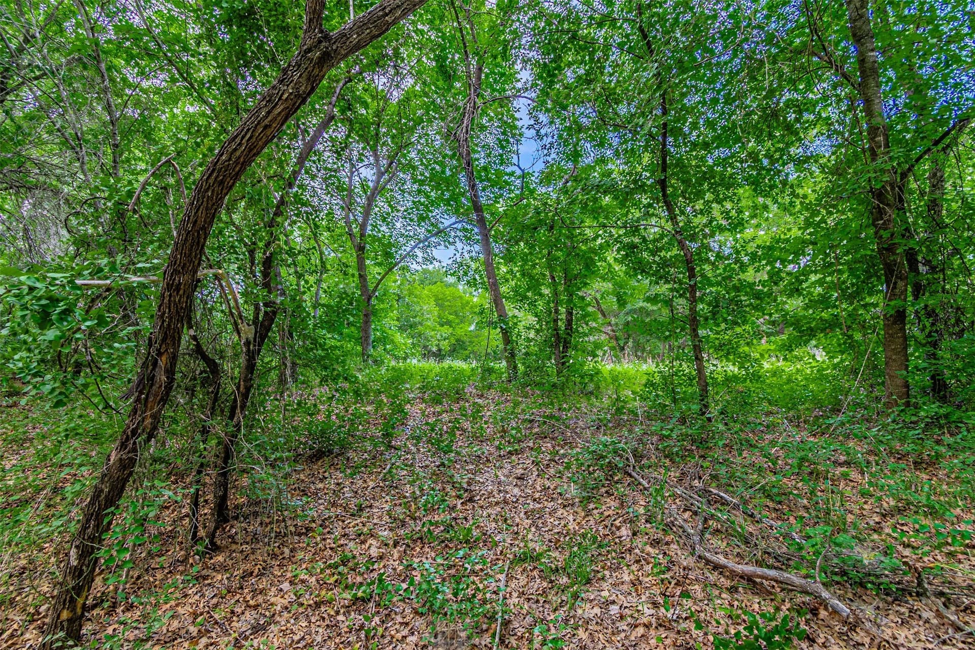 20 acres in Hood County - photo 25
