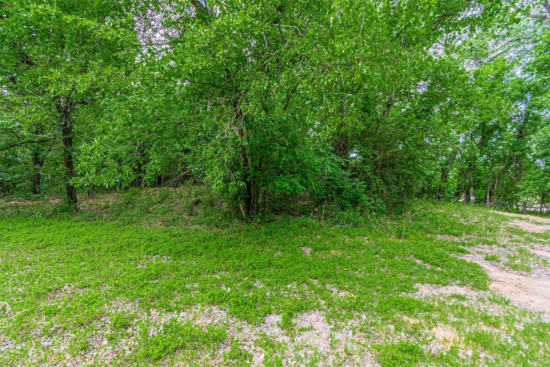 20 acres in Hood County - photo 35