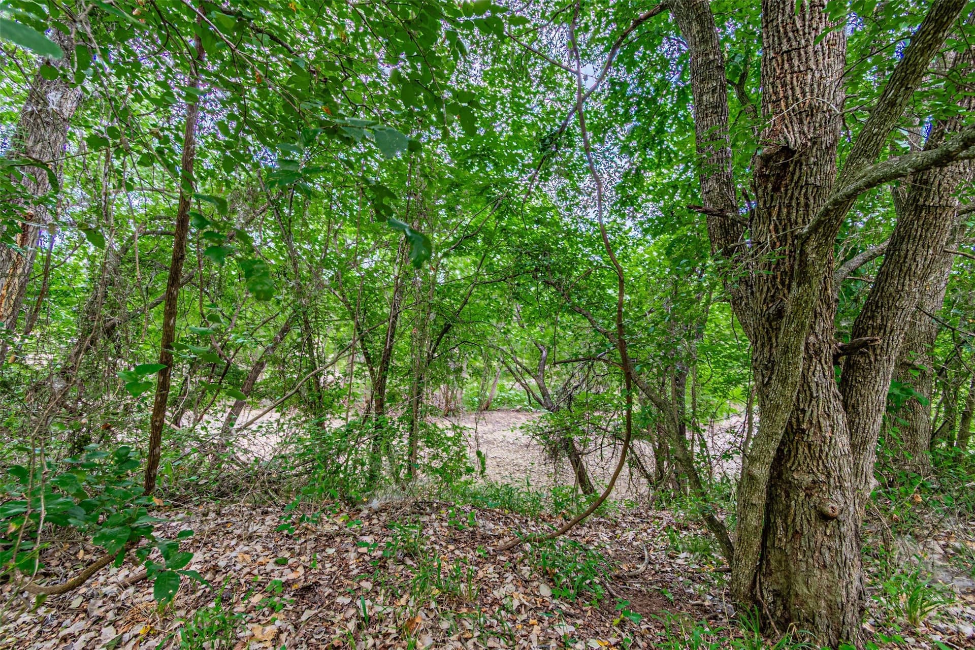 20 acres in Hood County - photo 37