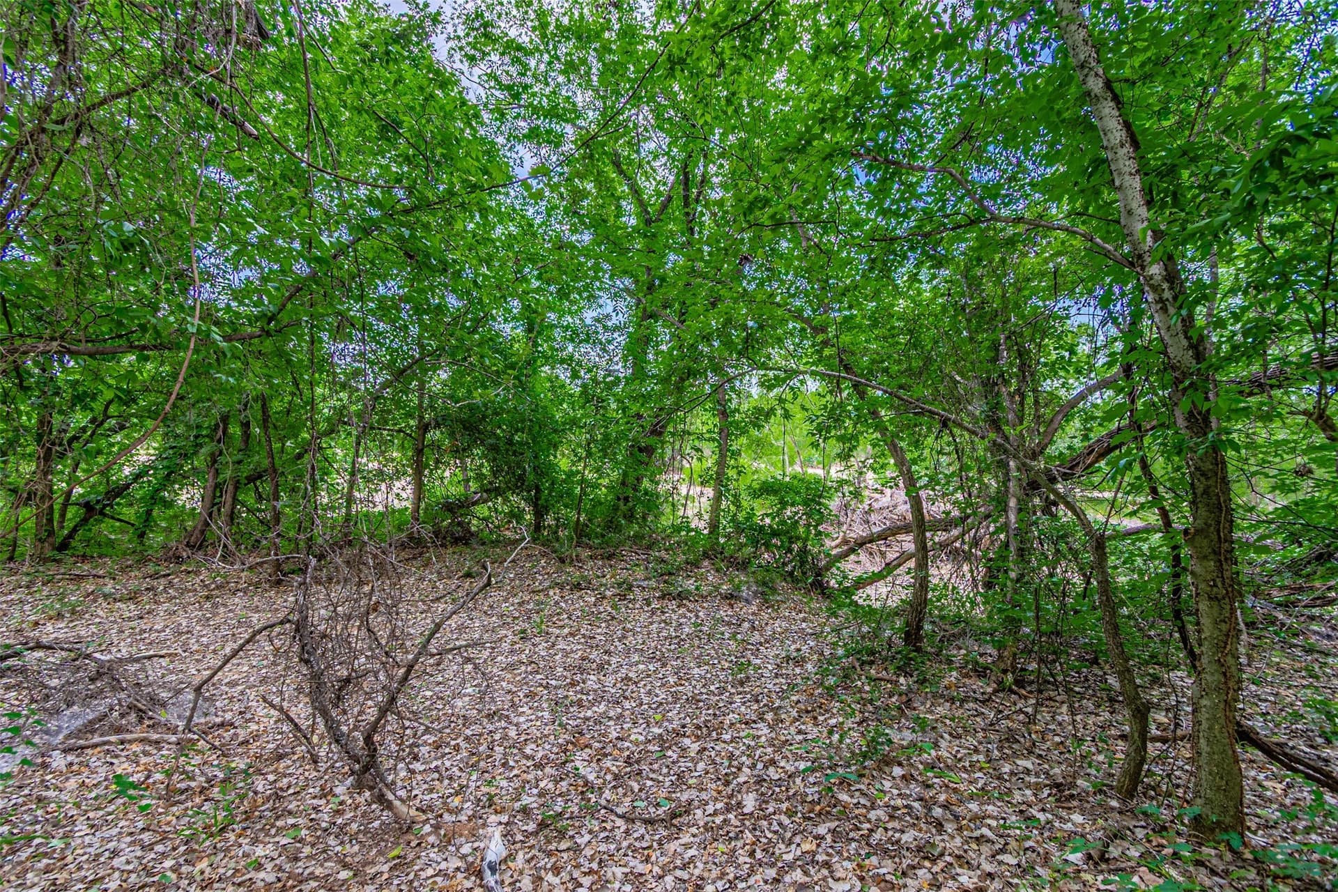 20 acres in Hood County - photo 30