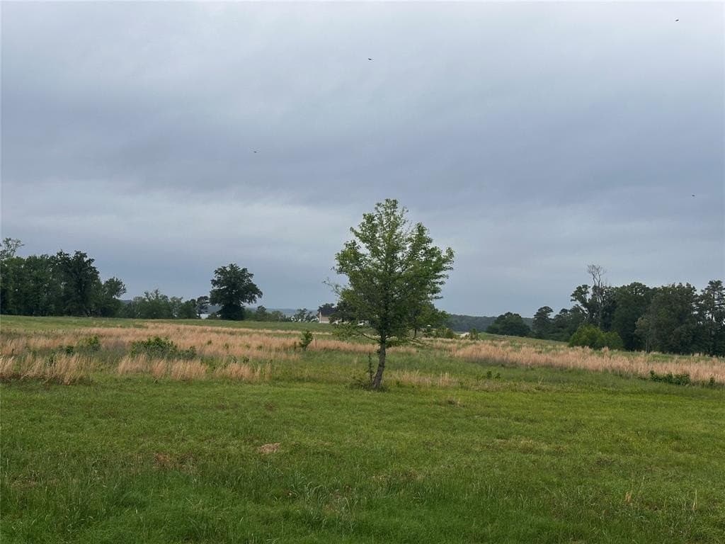 1.18 acres in Camp County gallery image 2
