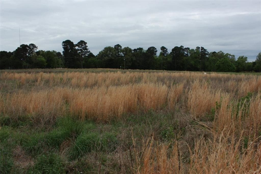 1.18 acres in Camp County featured view