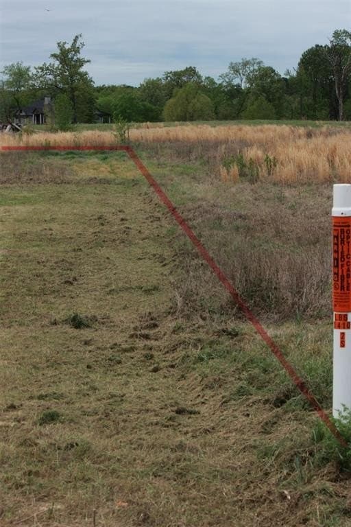 1.18 acres in Camp County gallery image 4