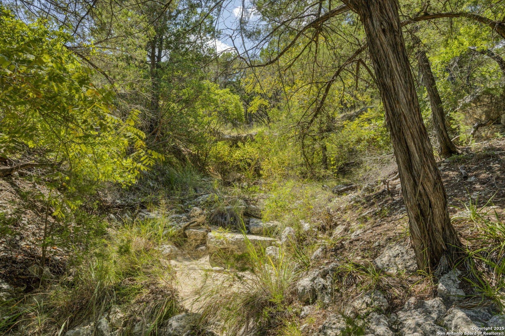 60.05 acres in Kendall County - photo 67