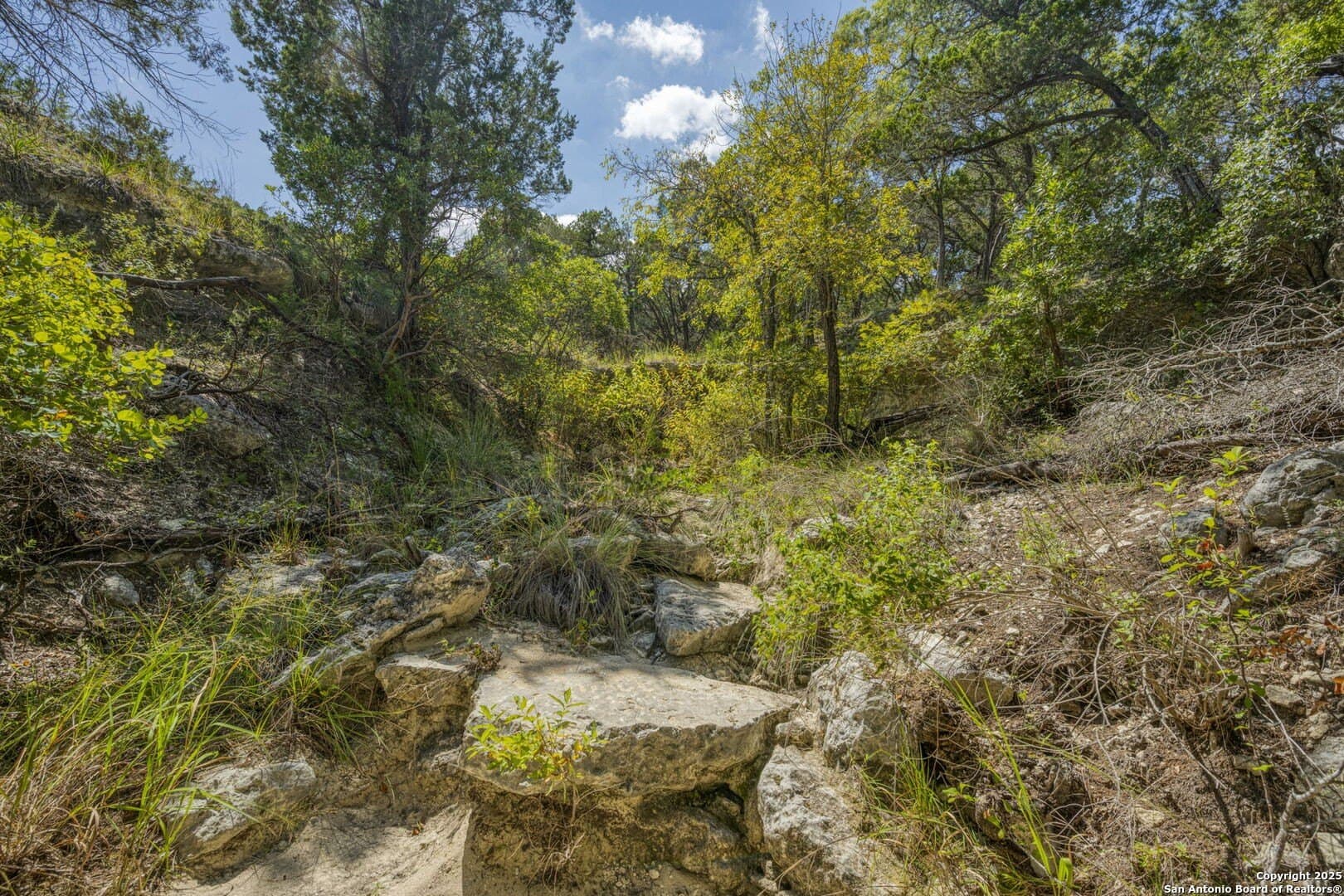 60.05 acres in Kendall County - photo 68