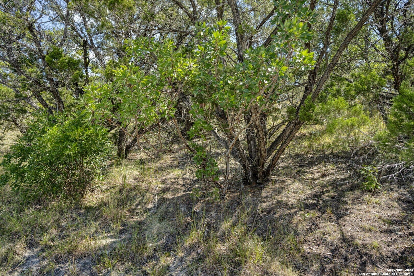 60.05 acres in Kendall County - photo 64