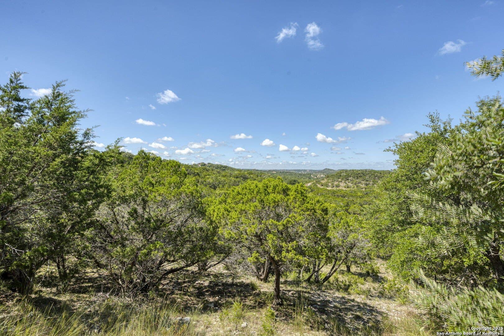 60.05 acres in Kendall County - photo 39