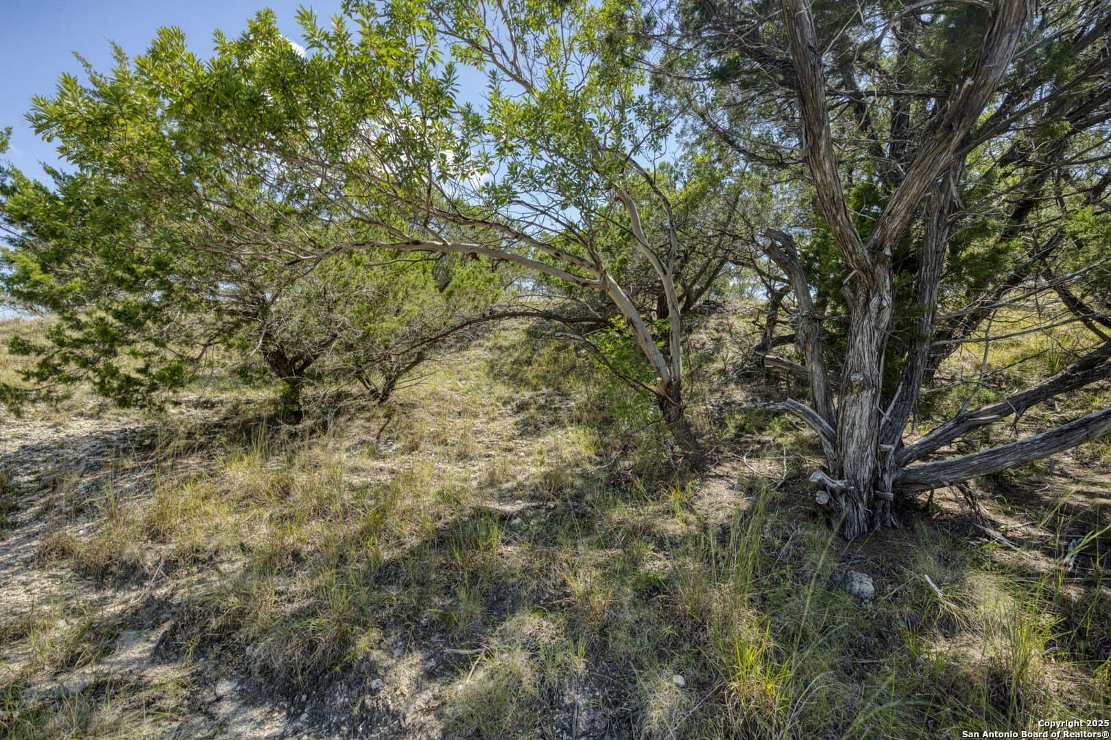60.05 acres in Kendall County - photo 62