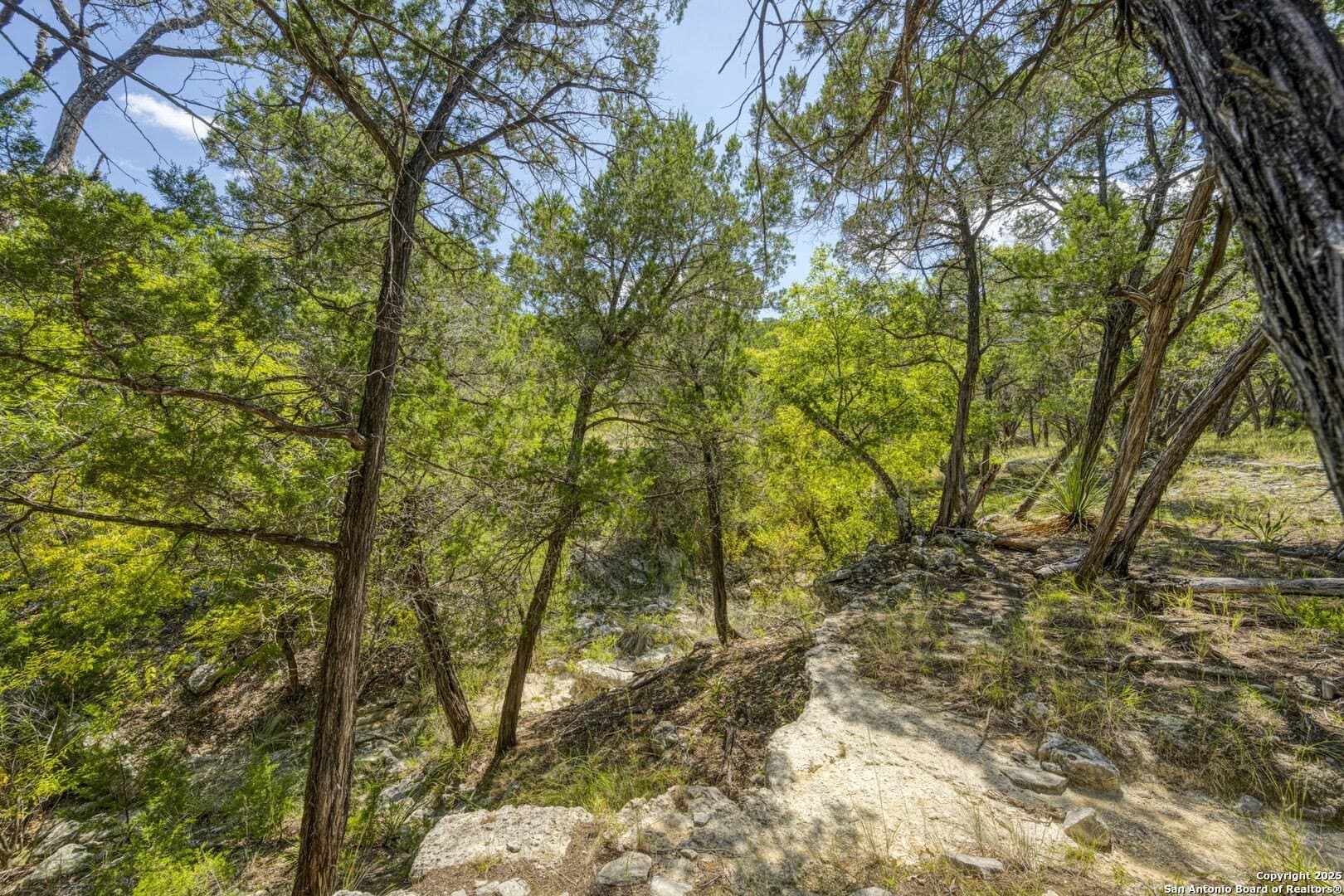 60.05 acres in Kendall County - photo 69