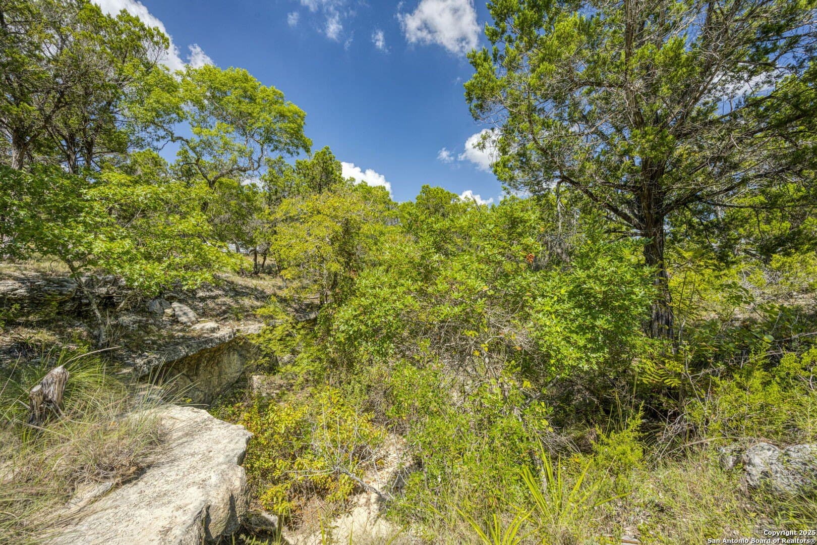 60.05 acres in Kendall County - photo 74
