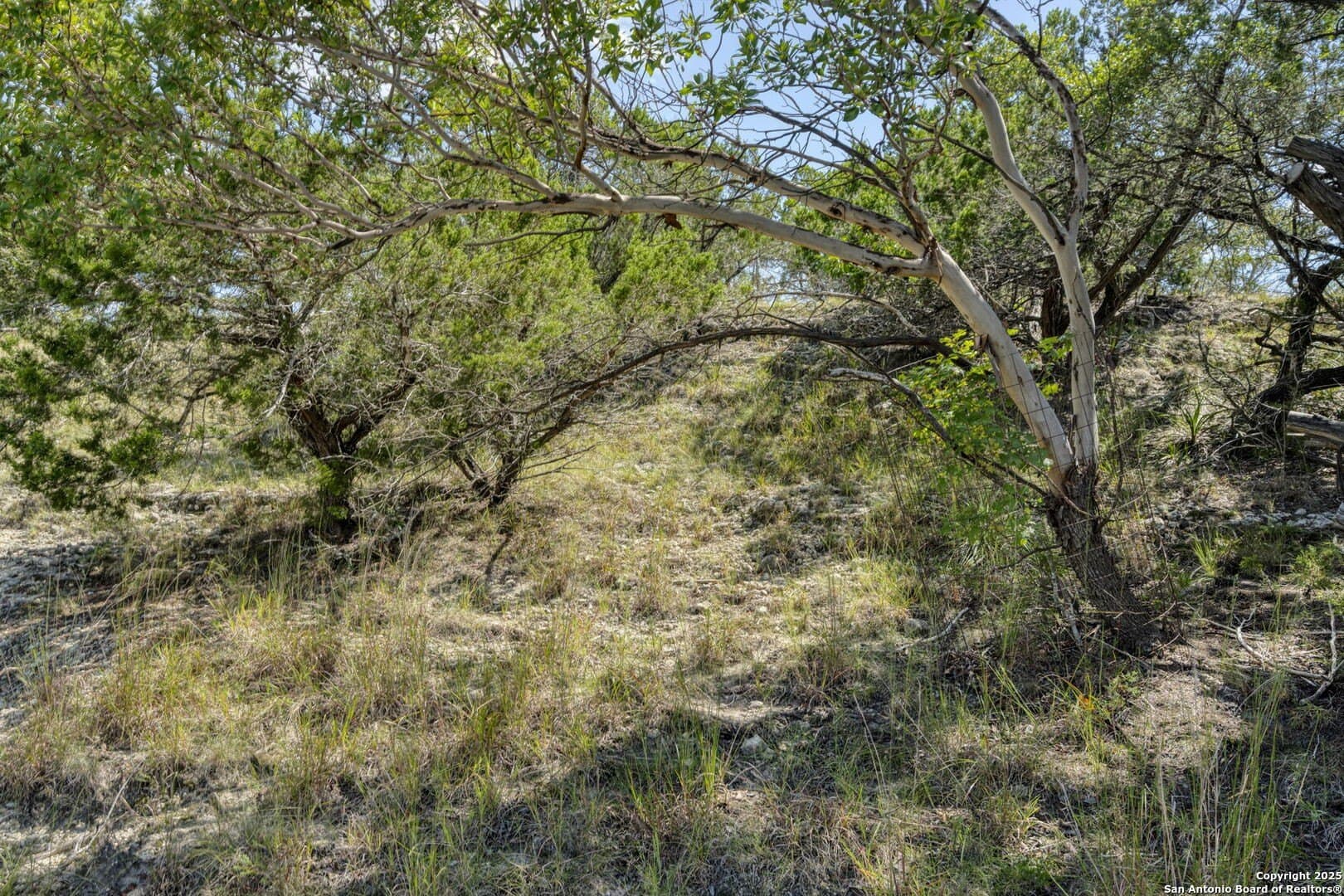 60.05 acres in Kendall County - photo 63