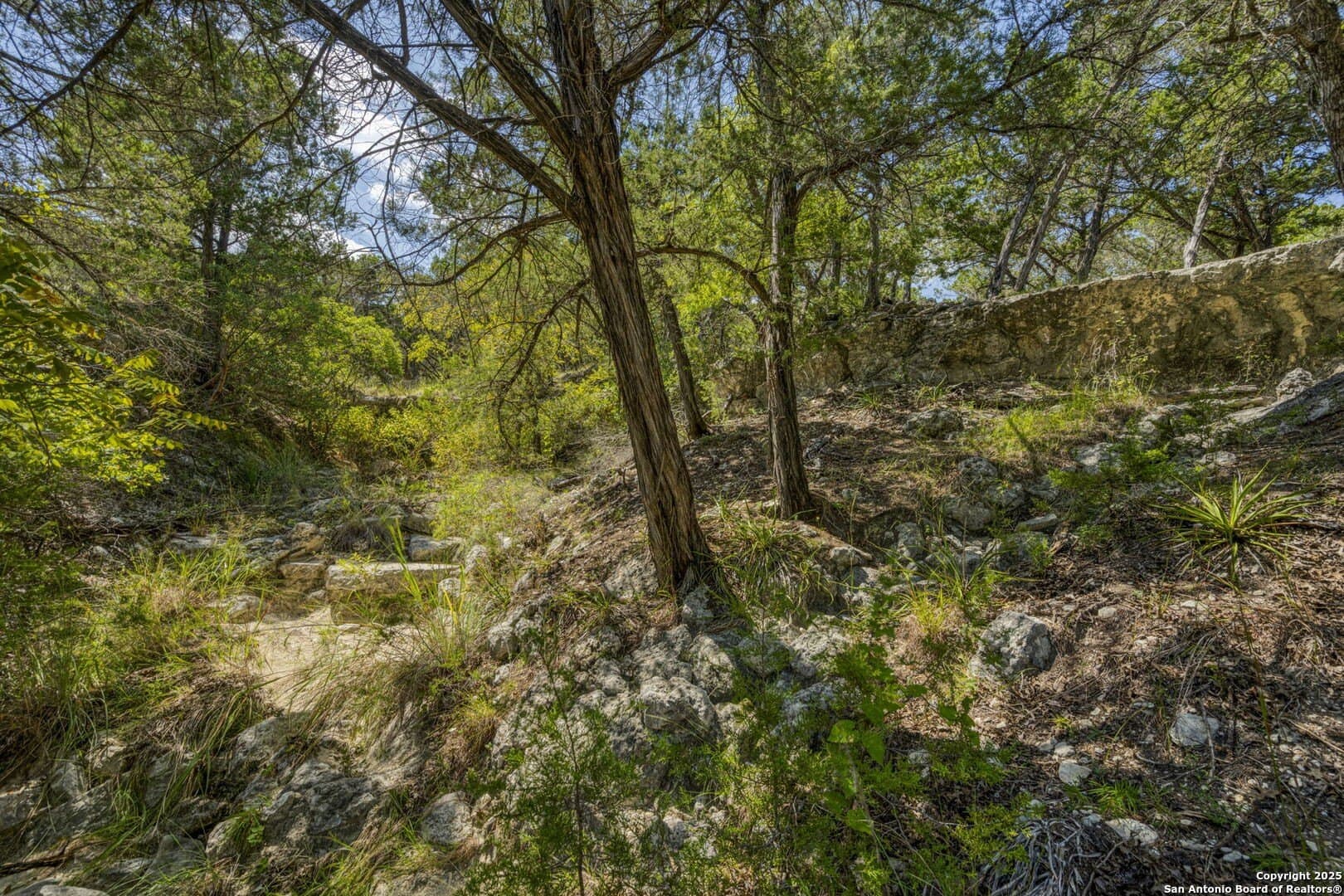 60.05 acres in Kendall County - photo 66