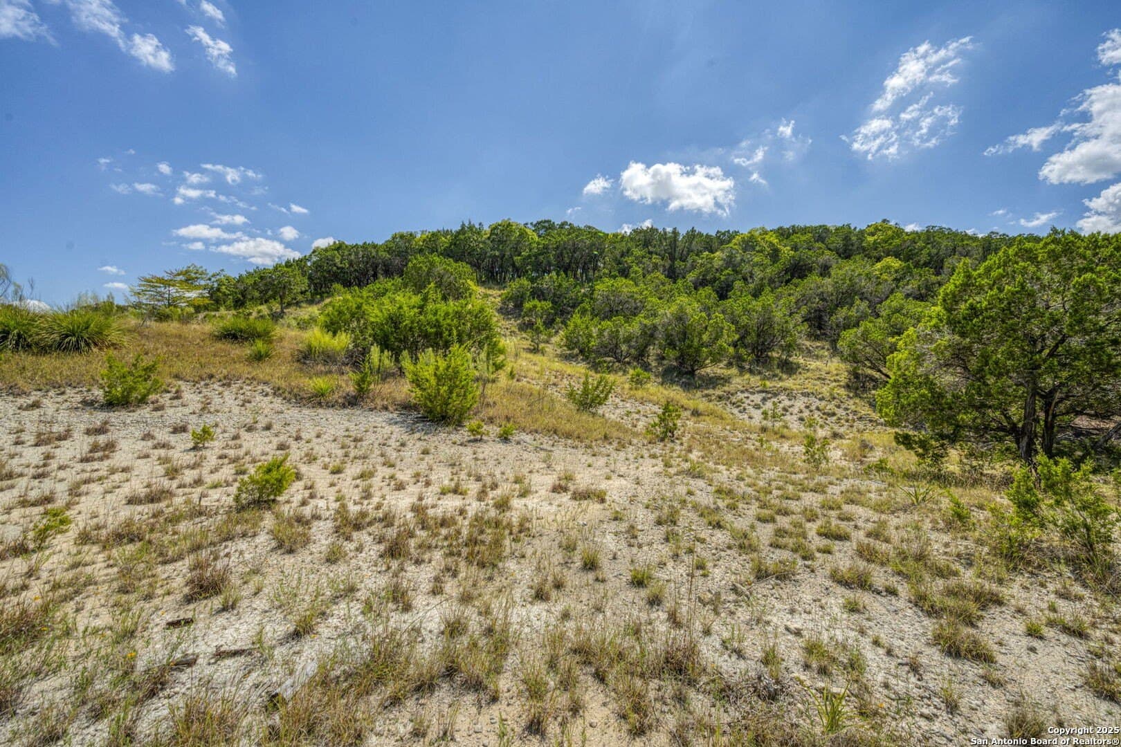 60.05 acres in Kendall County - photo 73