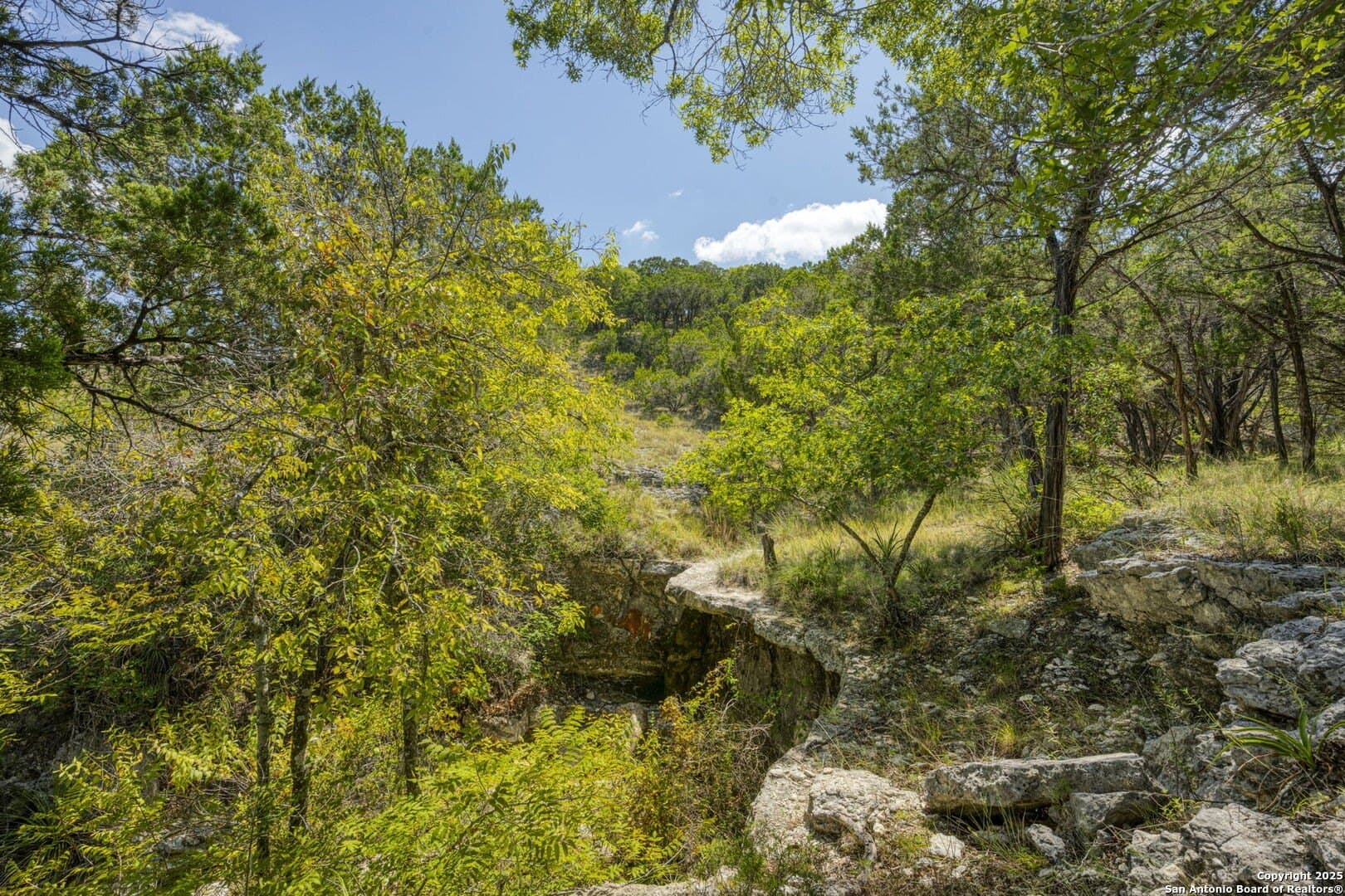 60.05 acres in Kendall County - photo 70