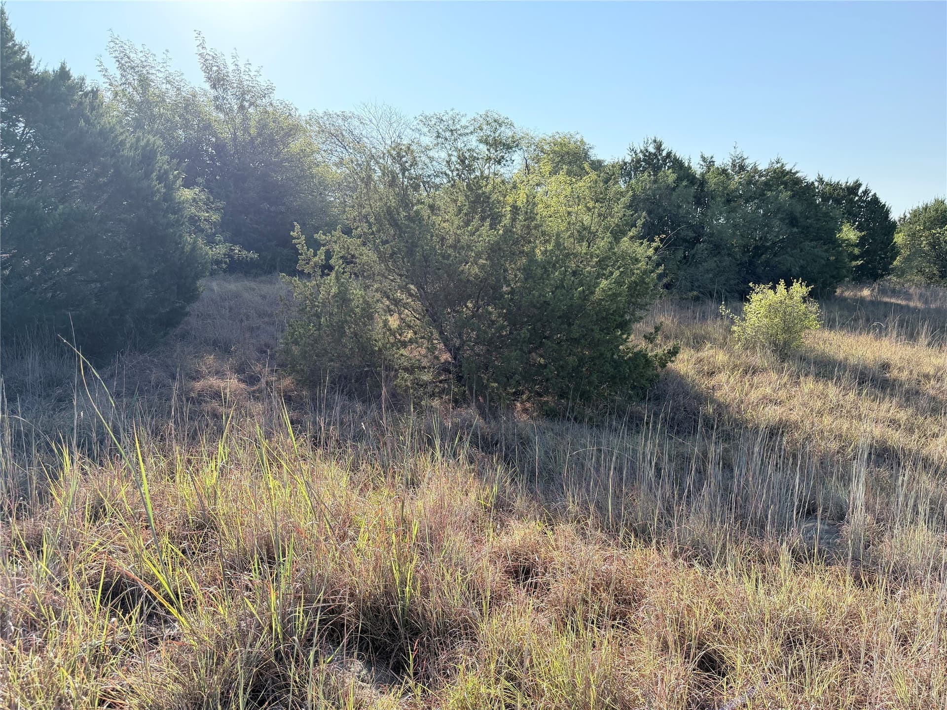 11.14 acres in Hamilton County - photo 7
