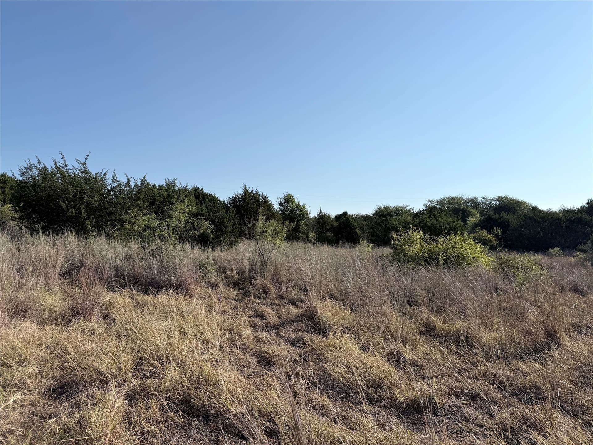 11.14 acres in Hamilton County - photo 13