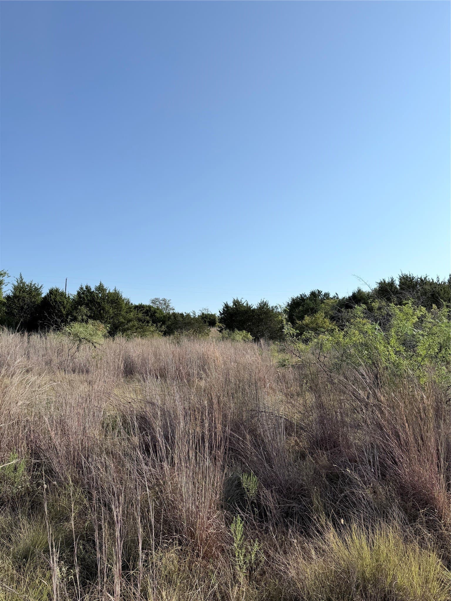 11.14 acres in Hamilton County - photo 11