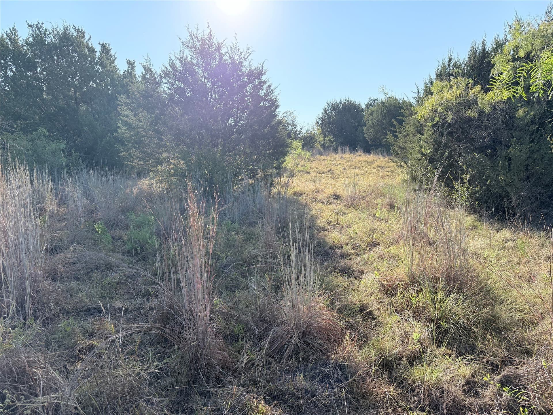 11.14 acres in Hamilton County - photo 10