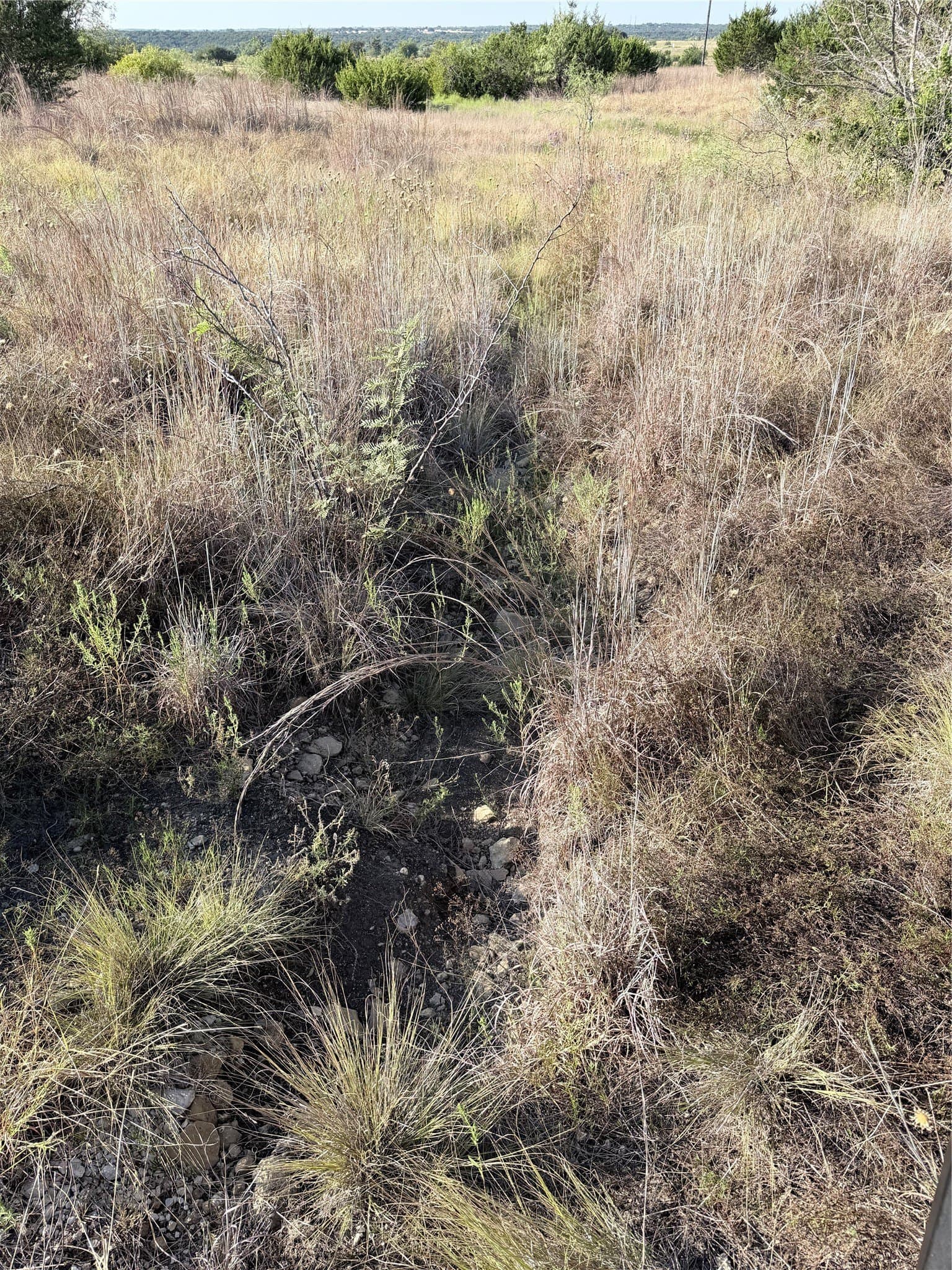 11.14 acres in Hamilton County - photo 12