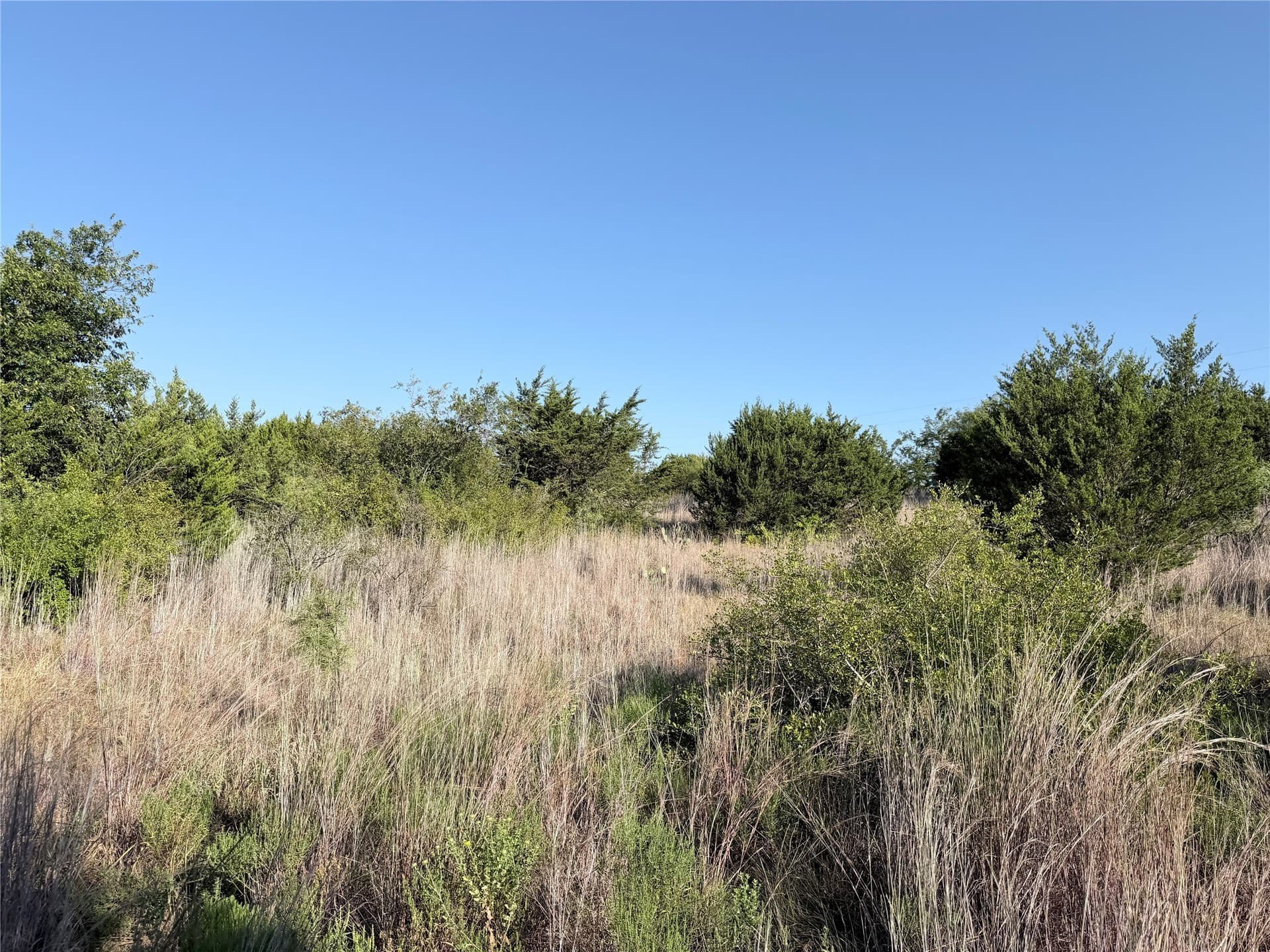 11.14 acres in Hamilton County - photo 6
