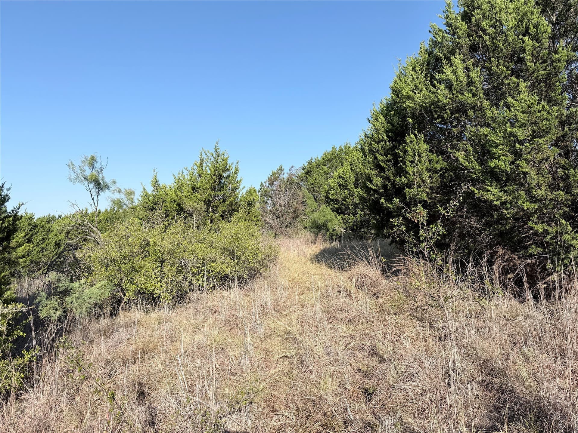 11.14 acres in Hamilton County - photo 9