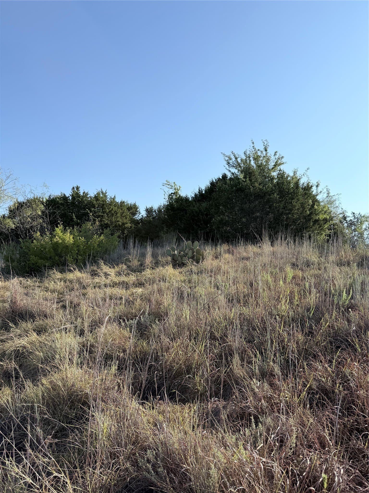 11.14 acres in Hamilton County - photo 4