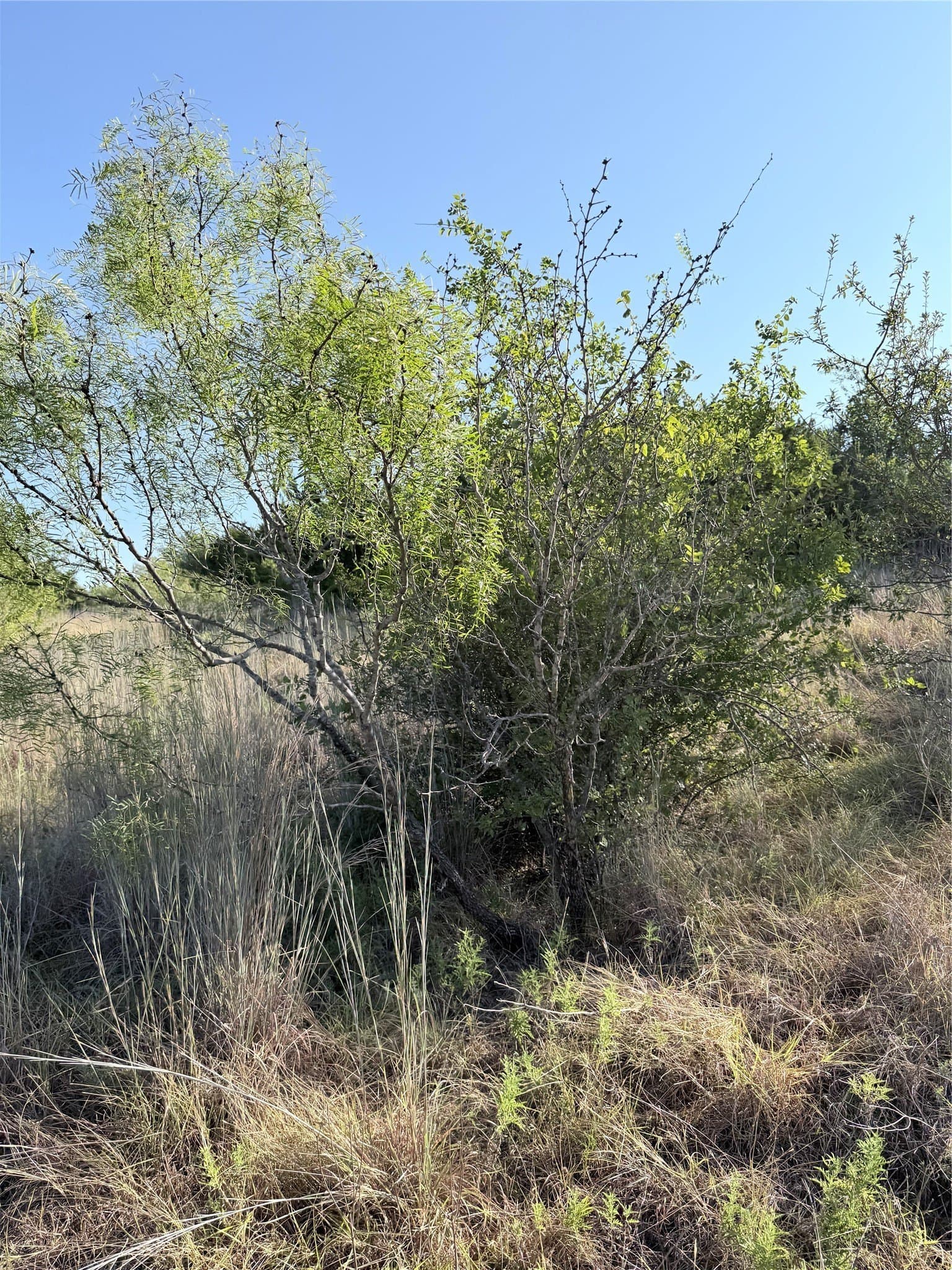 11.14 acres in Hamilton County - photo 2