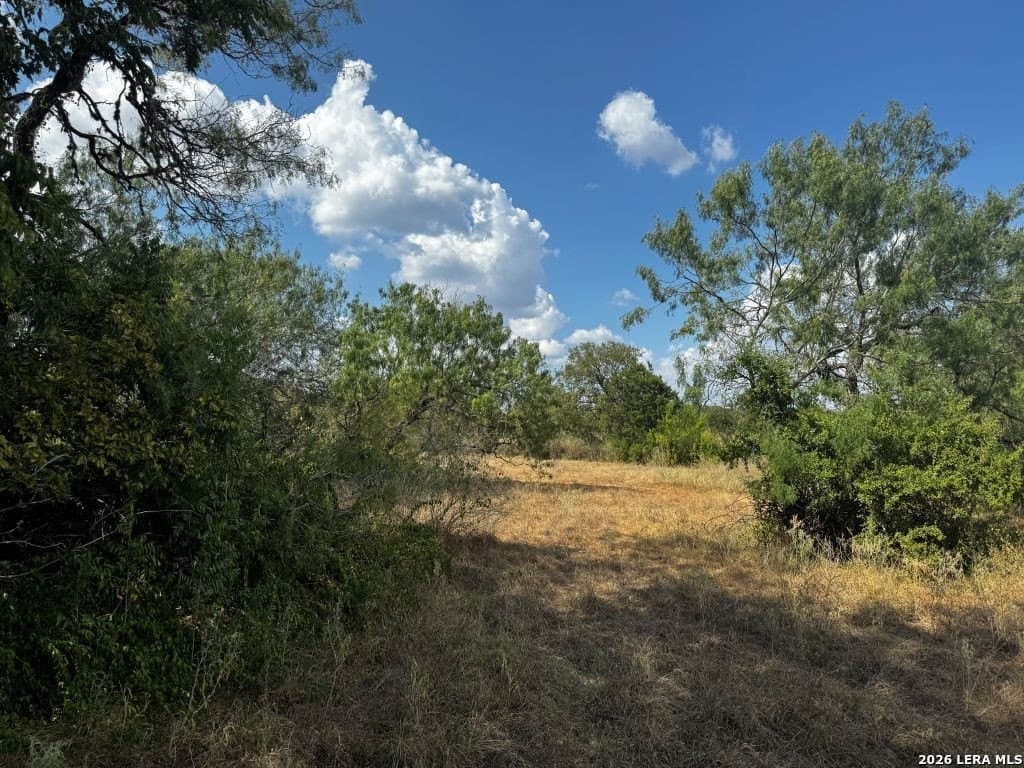 1.52 acres in Comal County - photo 2