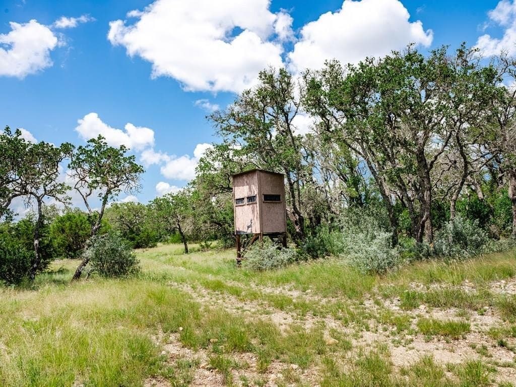 10.01 acres in Gillespie County gallery image 2