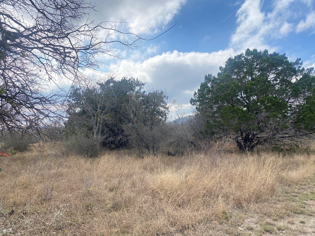 5.01 acres in Real County featured view