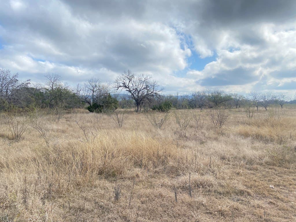 5.01 acres in Real County gallery image 4